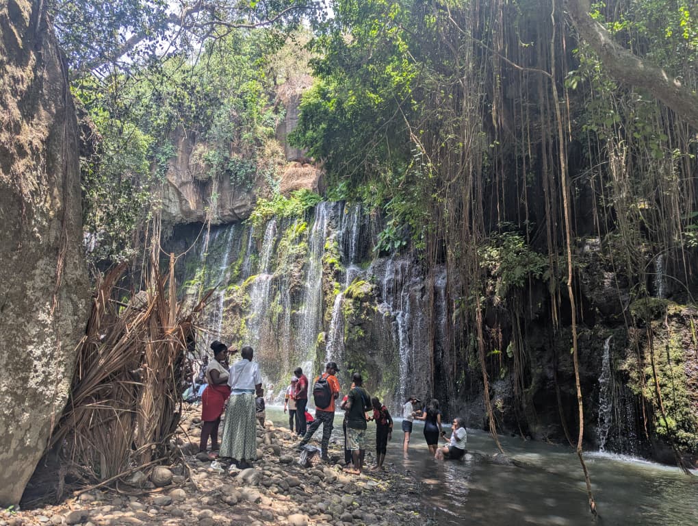 Forest walking safari