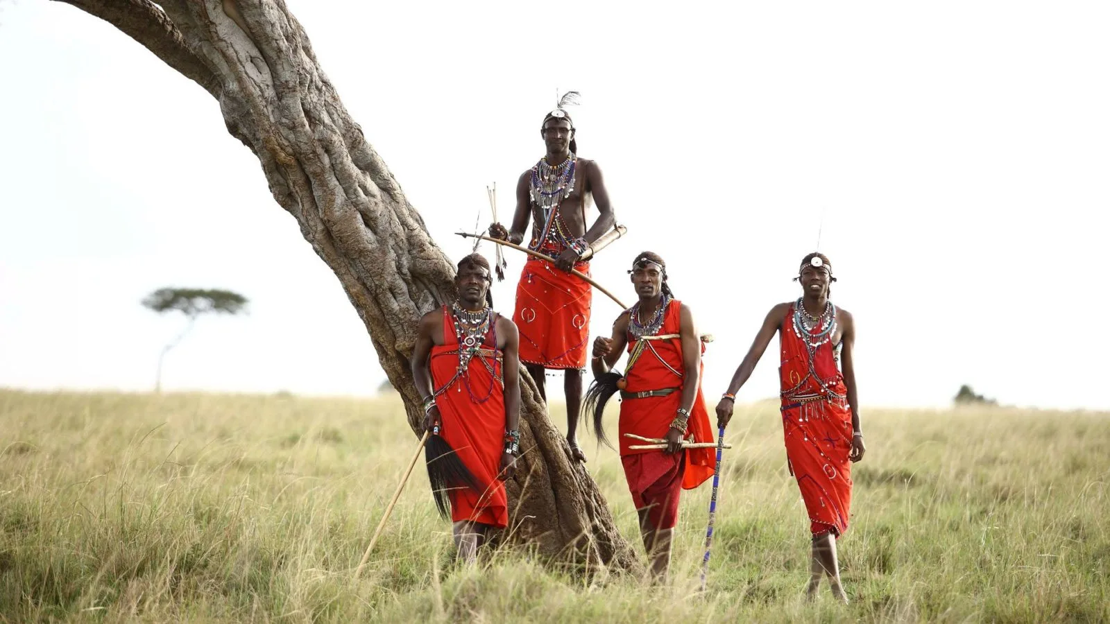 Maasai Warriors