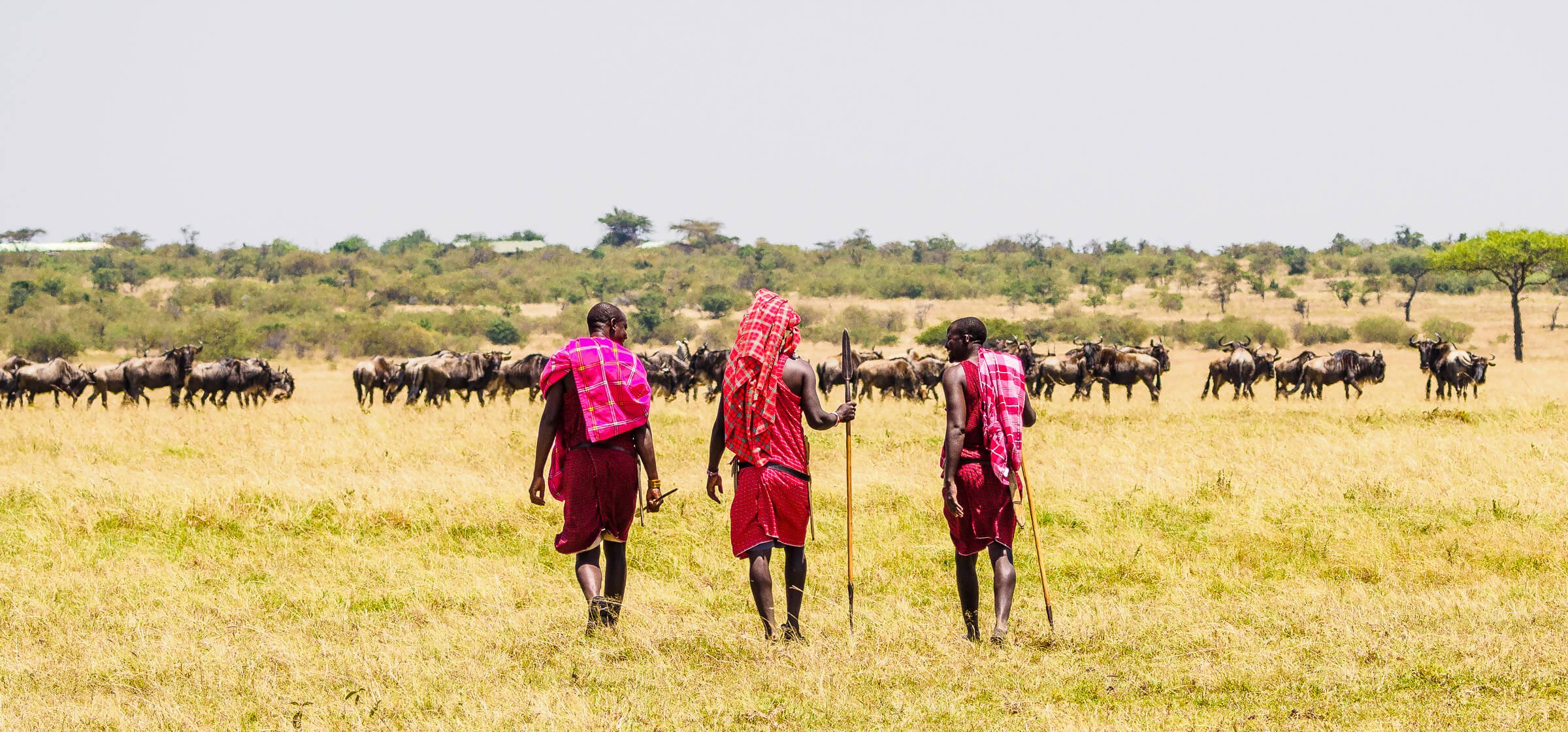 Maasai nature walk