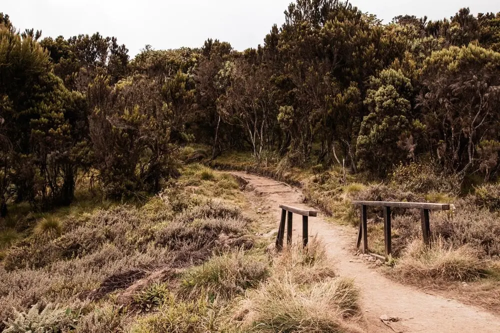 Moorland Zone