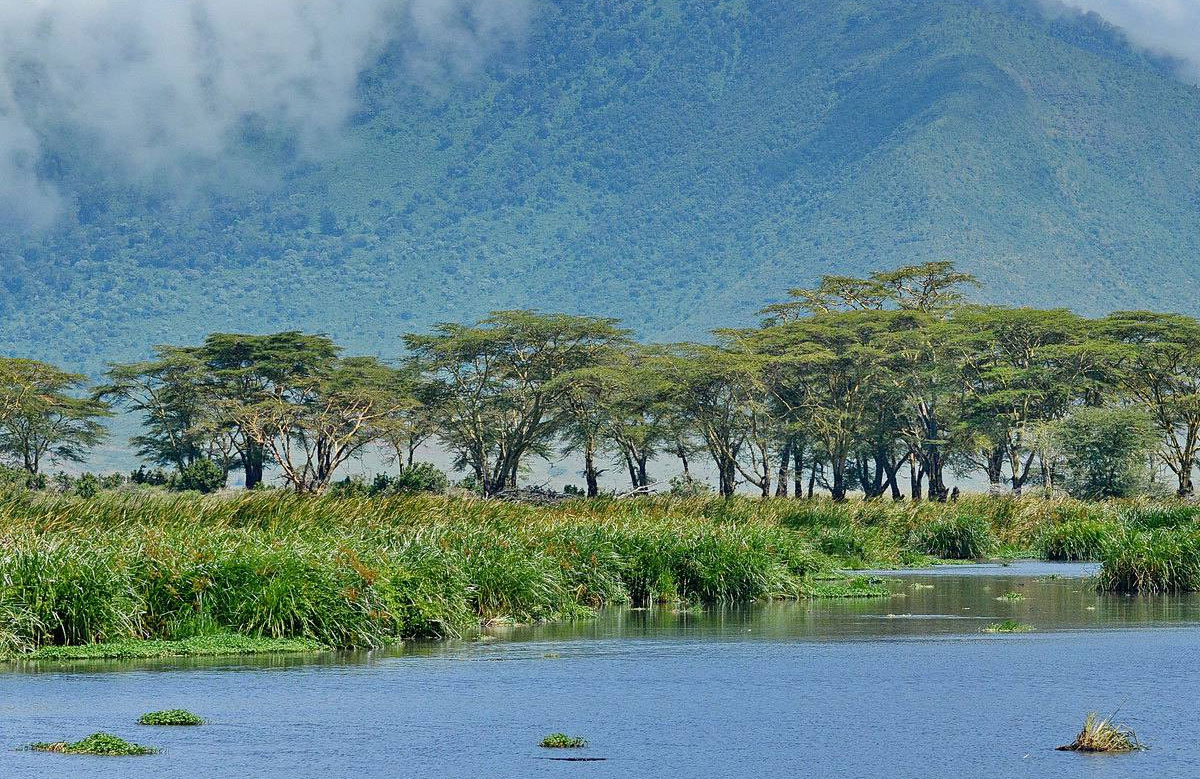 Tanzania Day Trips