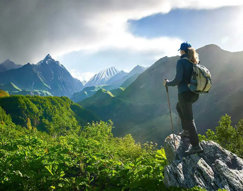 Wildlife Instagram post